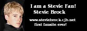 imasteviefanbanner.jpg